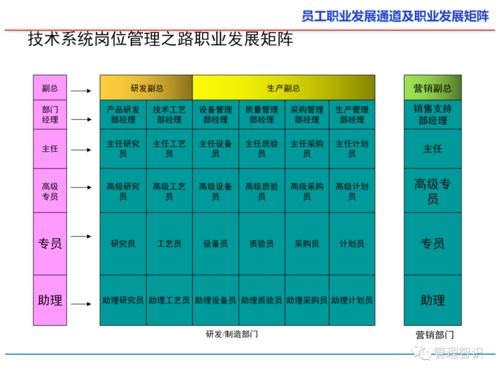 員工職業發展通道及職業發展矩陣詳解